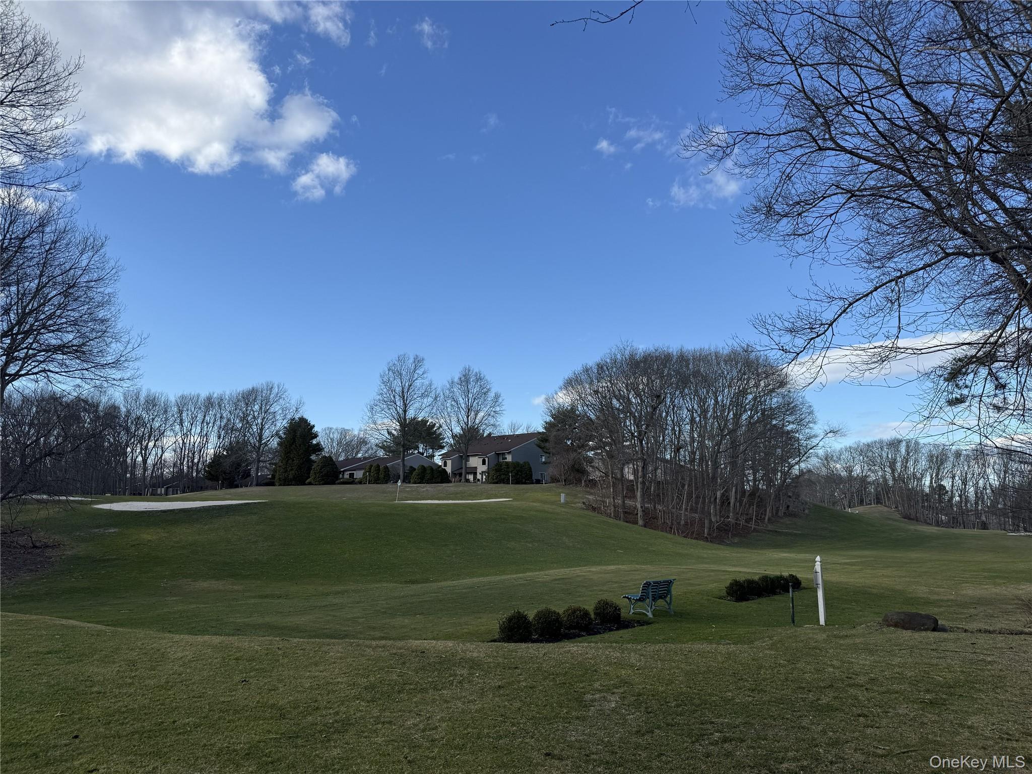 Condo Skyline  Suffolk County, NY 11727, MLS-973743-28