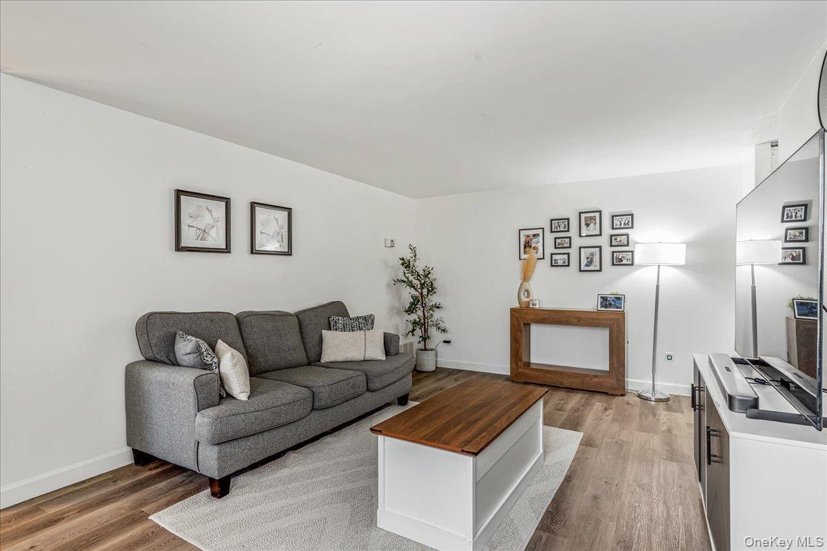 Condo Skyline  Suffolk County, NY 11727, MLS-973743-8