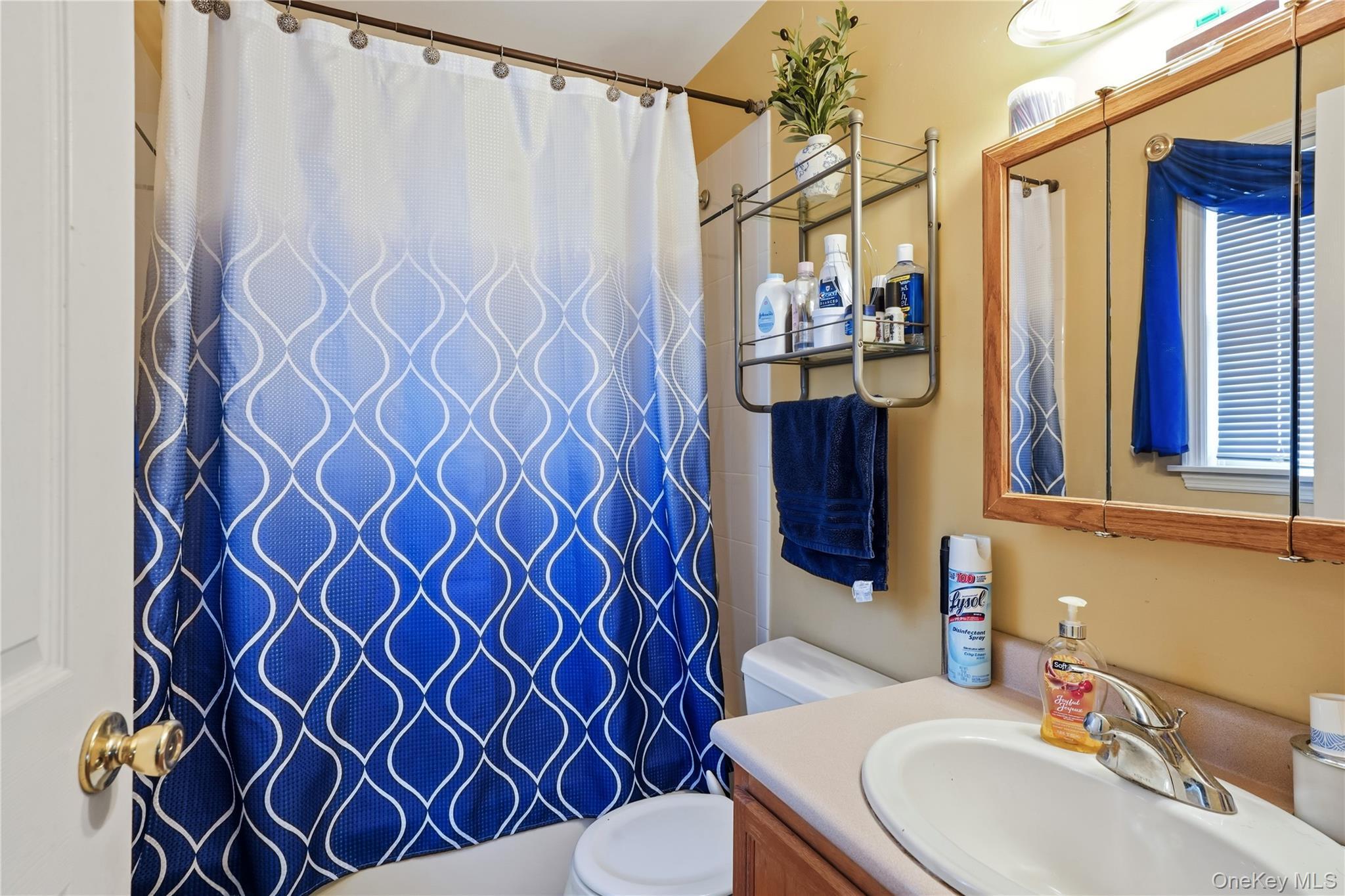 Single Family Carrie  Rockland County, NY 10954, MLS-973770-12