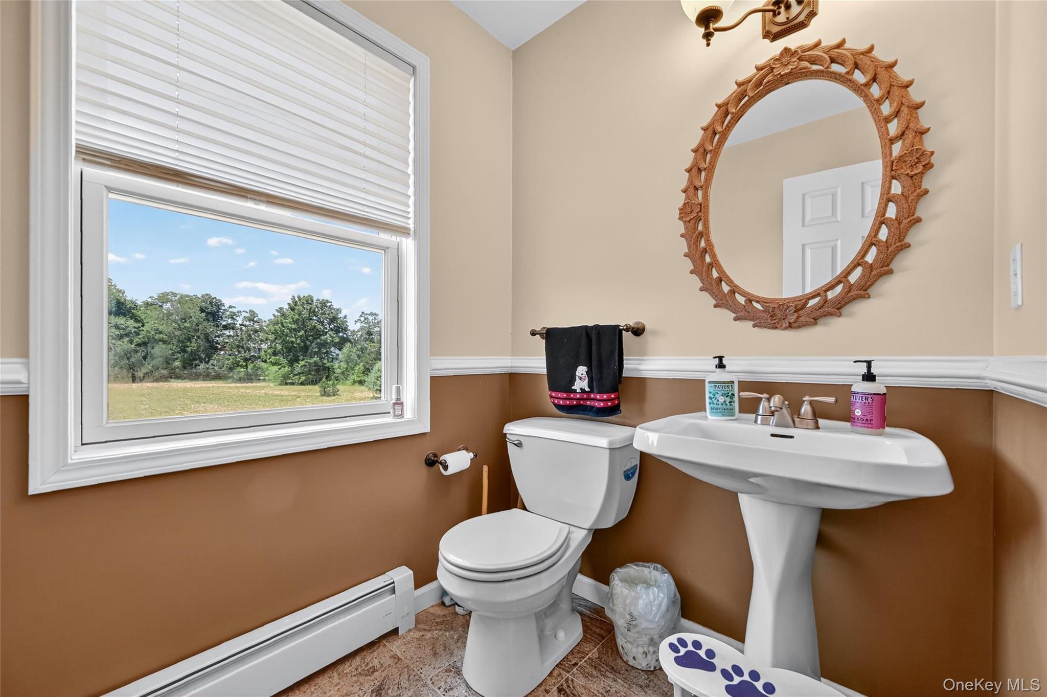 Single Family Old Dominion  Orange County, NY 10914, MLS-973796-24
