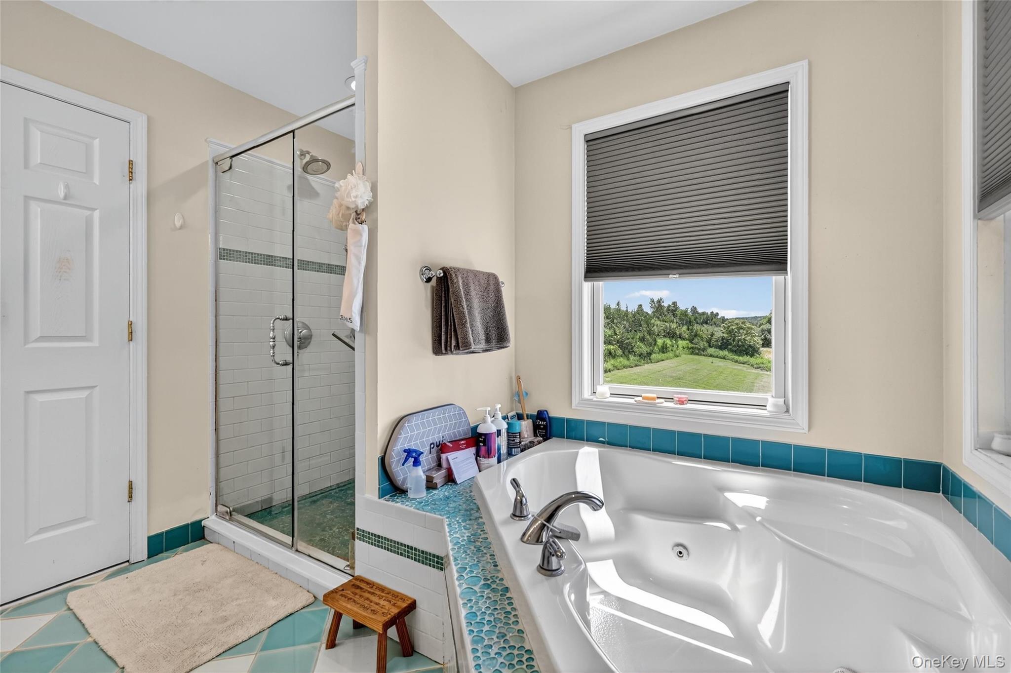 Single Family Old Dominion  Orange County, NY 10914, MLS-973796-32
