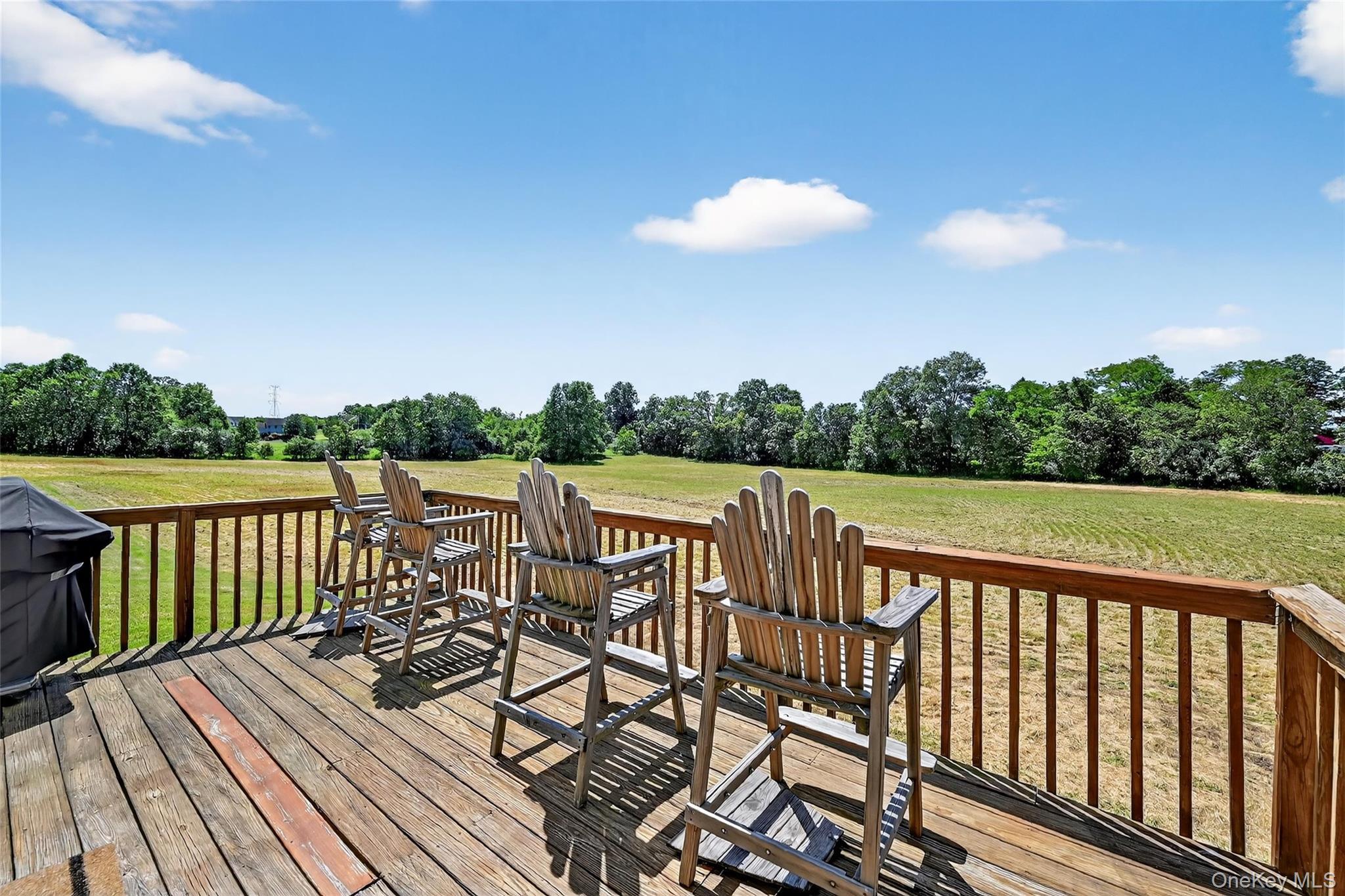 Single Family Old Dominion  Orange County, NY 10914, MLS-973796-40