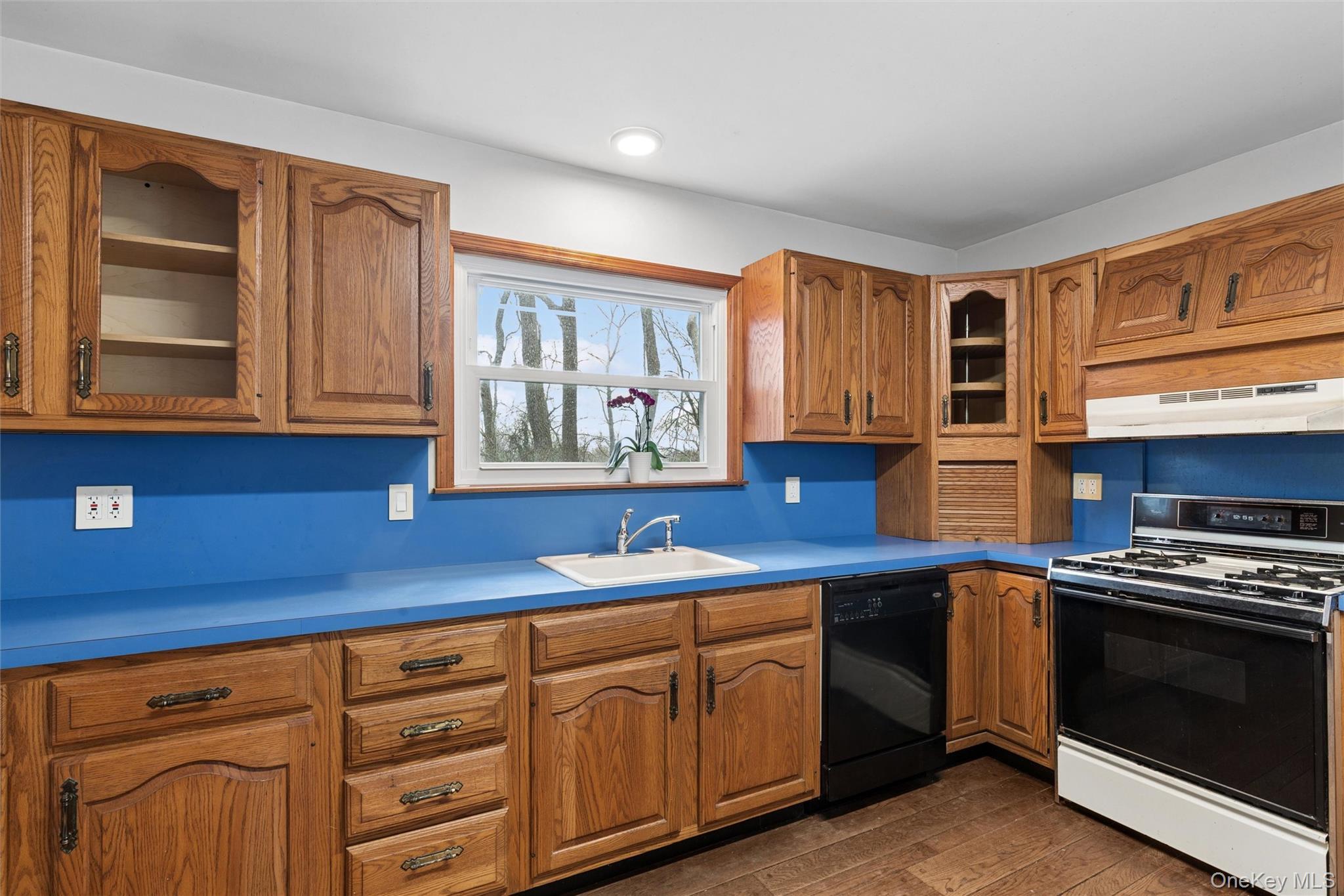 Single Family Overhill  Suffolk County, NY 11792, MLS-973818-8
