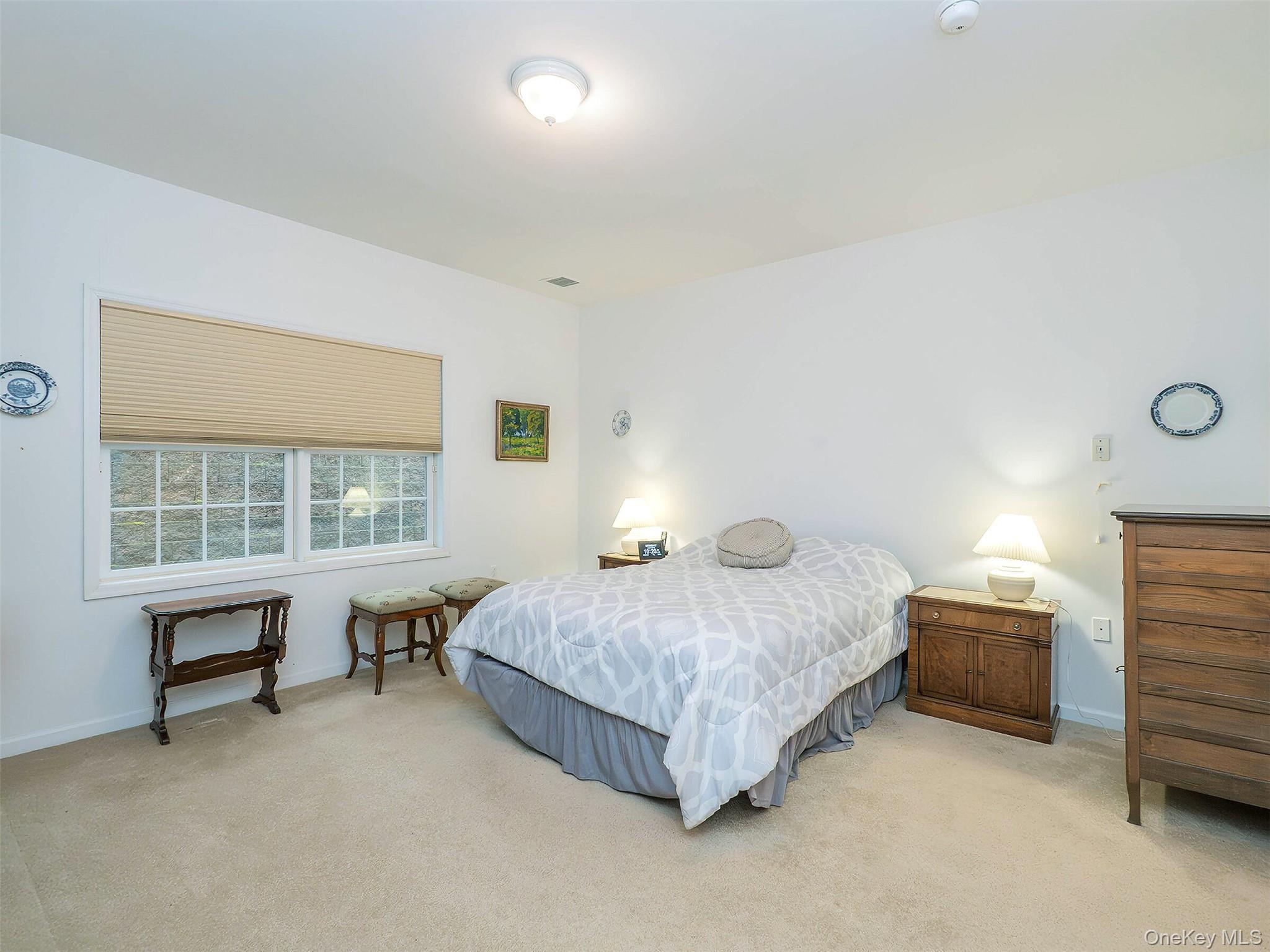 Condo Pond View  Nassau County, NY 11050, MLS-973881-11