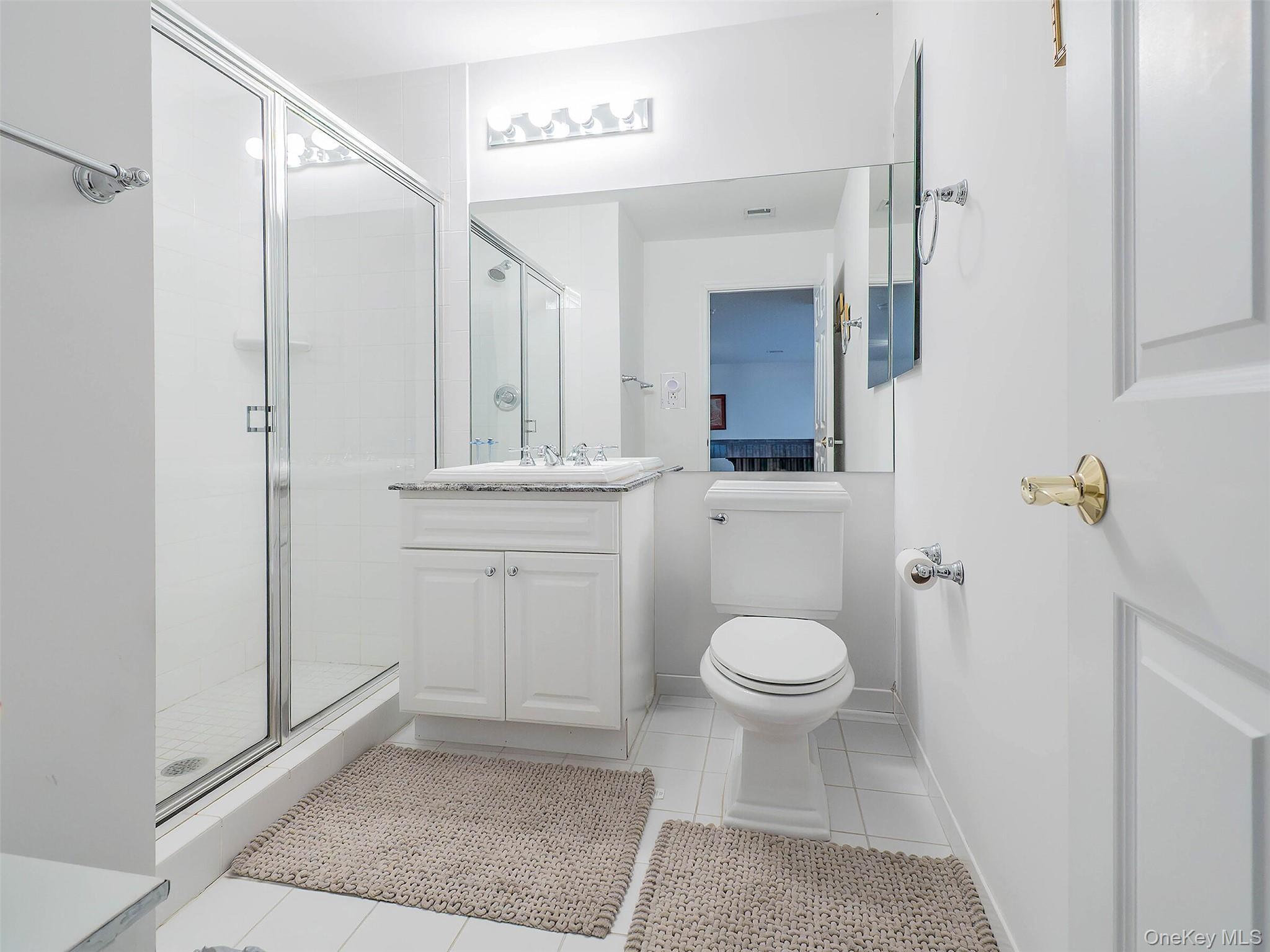 Condo Pond View  Nassau County, NY 11050, MLS-973881-21