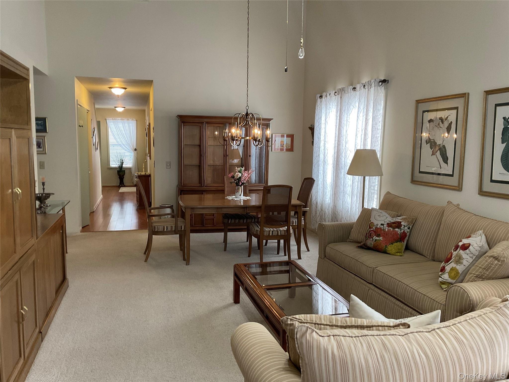 Condo Tall Tree  Dutchess County, NY 12601, MLS-973941-10