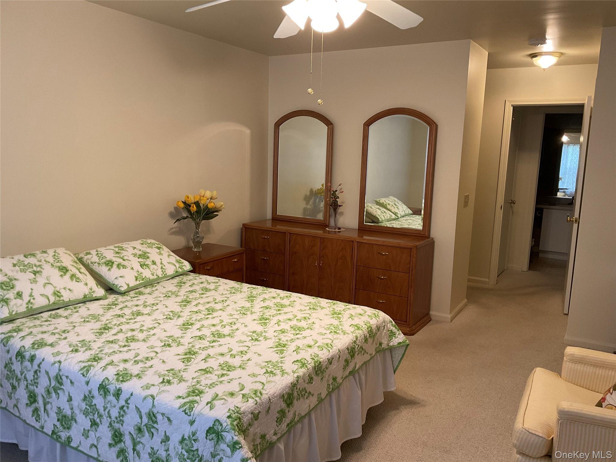 Condo Tall Tree  Dutchess County, NY 12601, MLS-973941-15