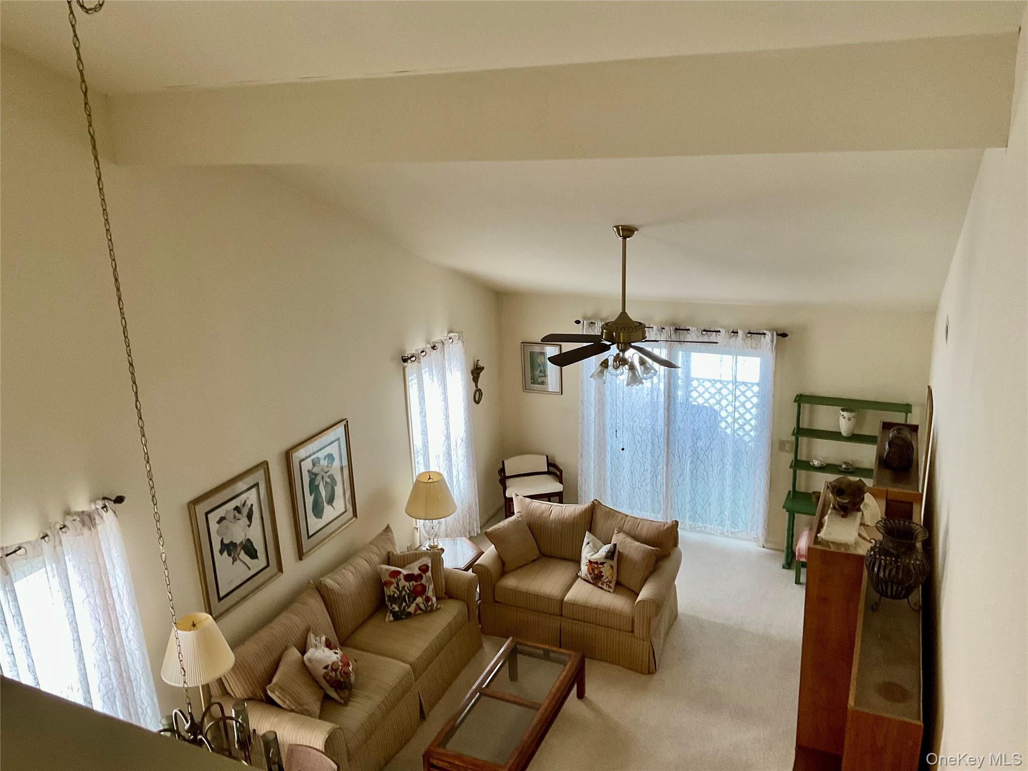 Condo Tall Tree  Dutchess County, NY 12601, MLS-973941-18