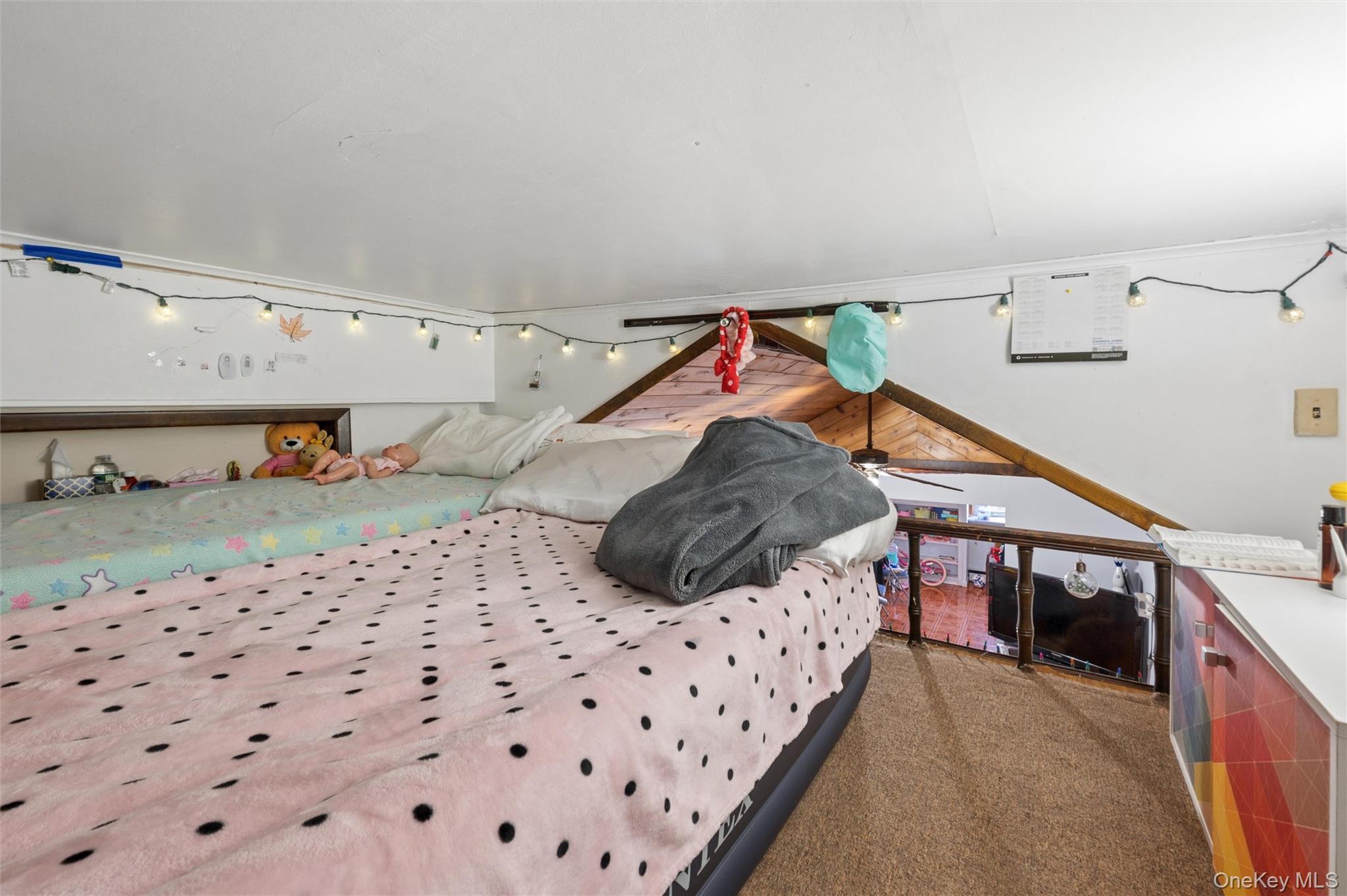 Single Family Sackett  Bronx, NY 10462, MLS-973949-7