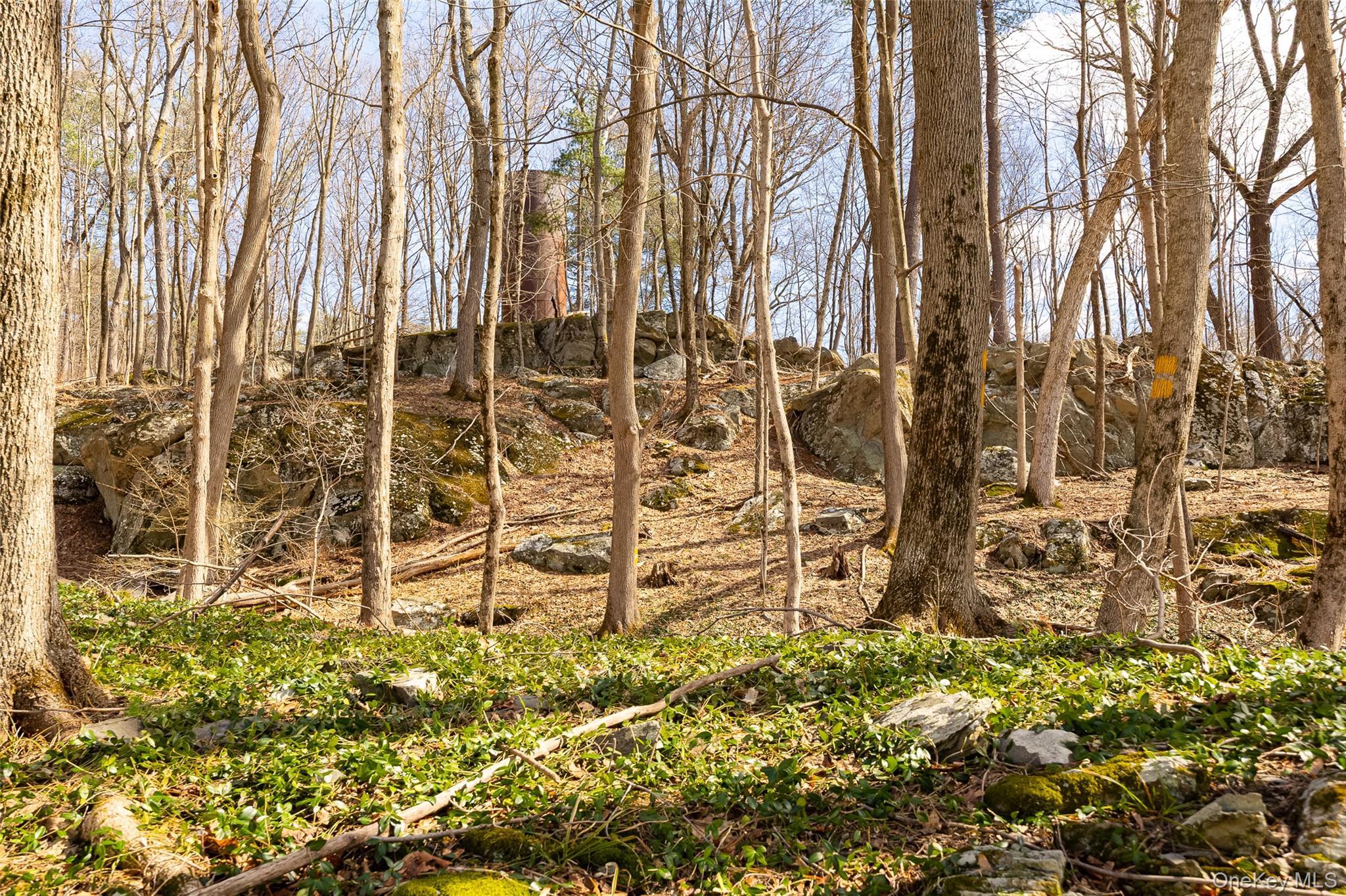 Single Family Van Wert  Dutchess County, NY 12538, MLS-973956-27