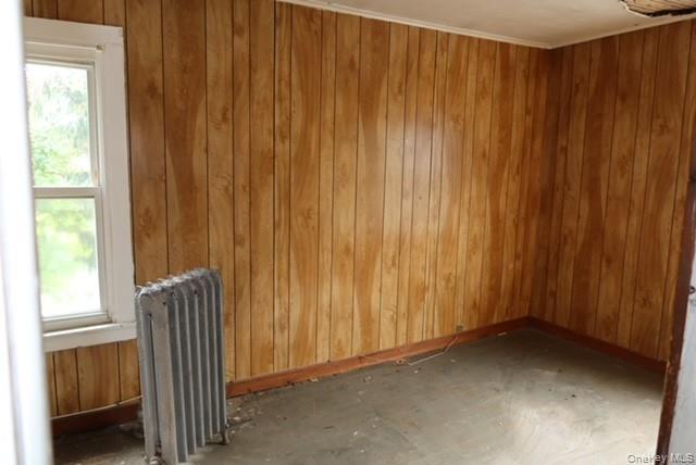 Single Family Tower  Orange County, NY 12543, MLS-973965-10