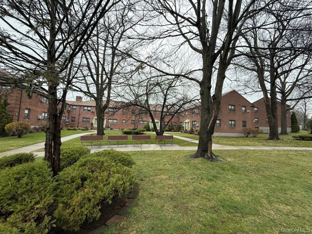 Coop 62nd  Queens, NY 11362, MLS-973981-13