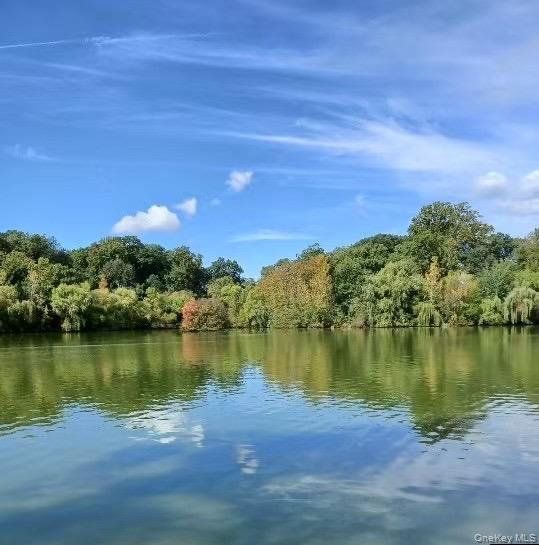 Condo 161st Queens, NY 11358, MLS-974011-9