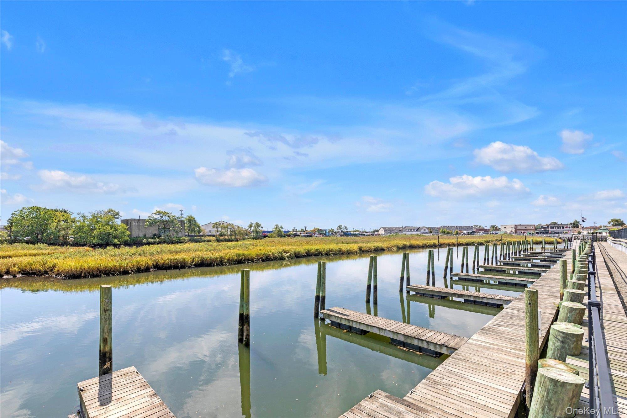 Condo Marina Pointe  Nassau County, NY 11518, MLS-974017-15