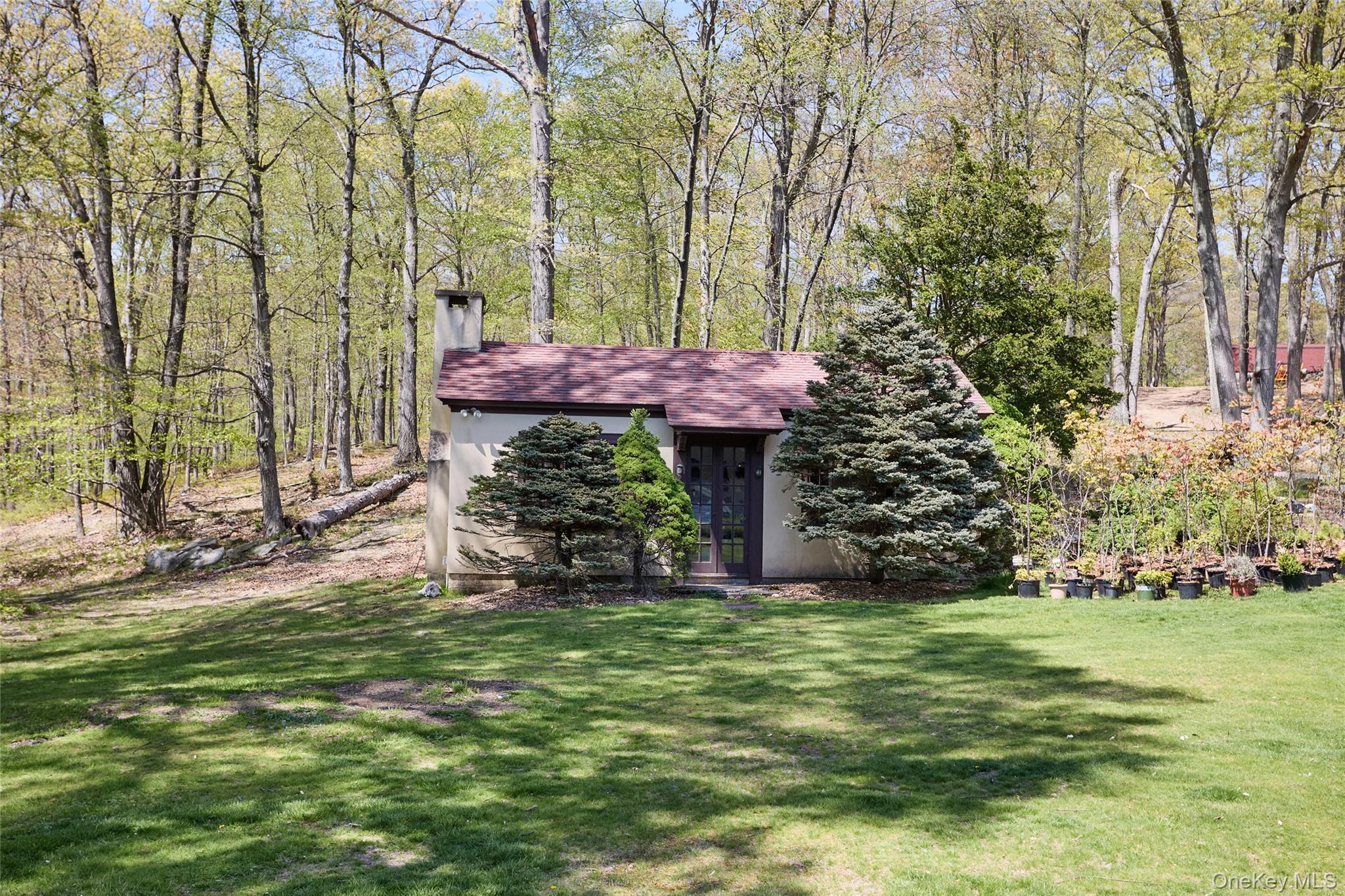Single Family Castleton Drive Orange County, NY 10930, MLS-974021-17
