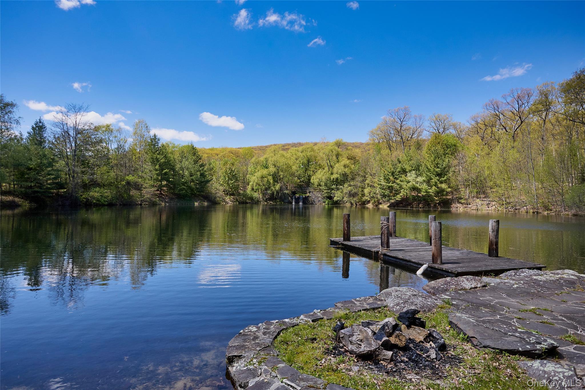 Single Family Castleton Drive Orange County, NY 10930, MLS-974021-6