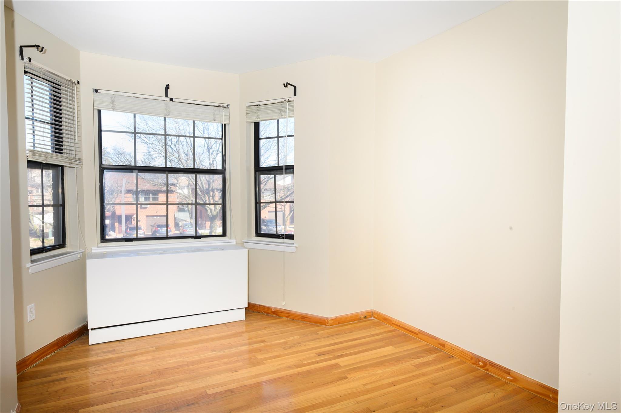 Condo 164th  Queens, NY 11365, MLS-974053-15