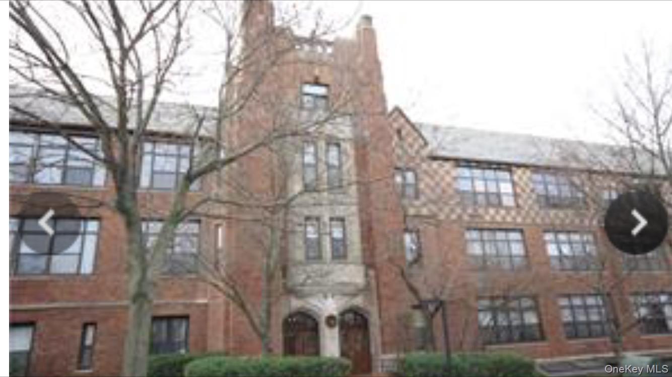 Condo Mckinley  Westchester County, NY 10606, MLS-974071-2