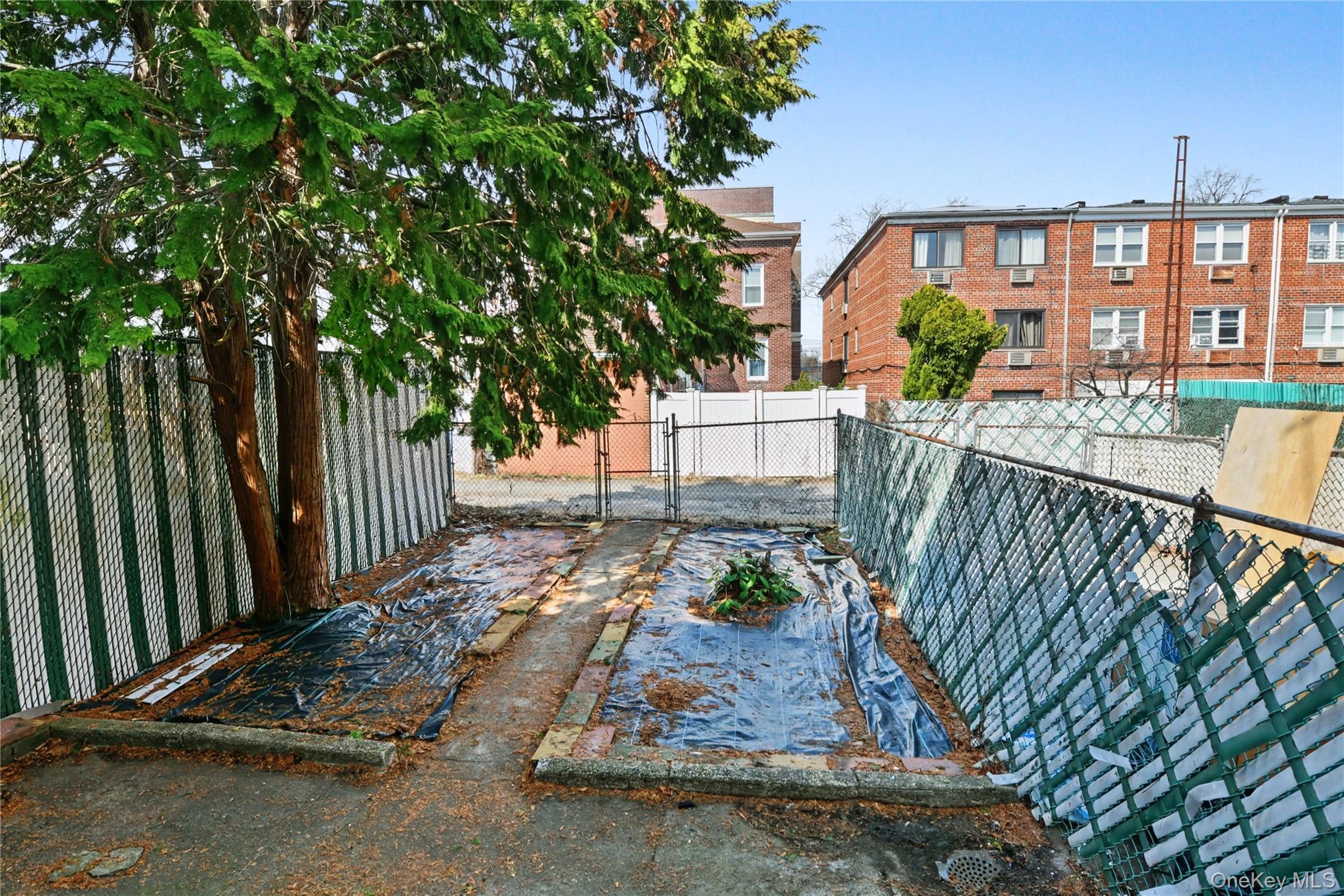 Single Family 68th  Queens, NY 11379, MLS-974165-29
