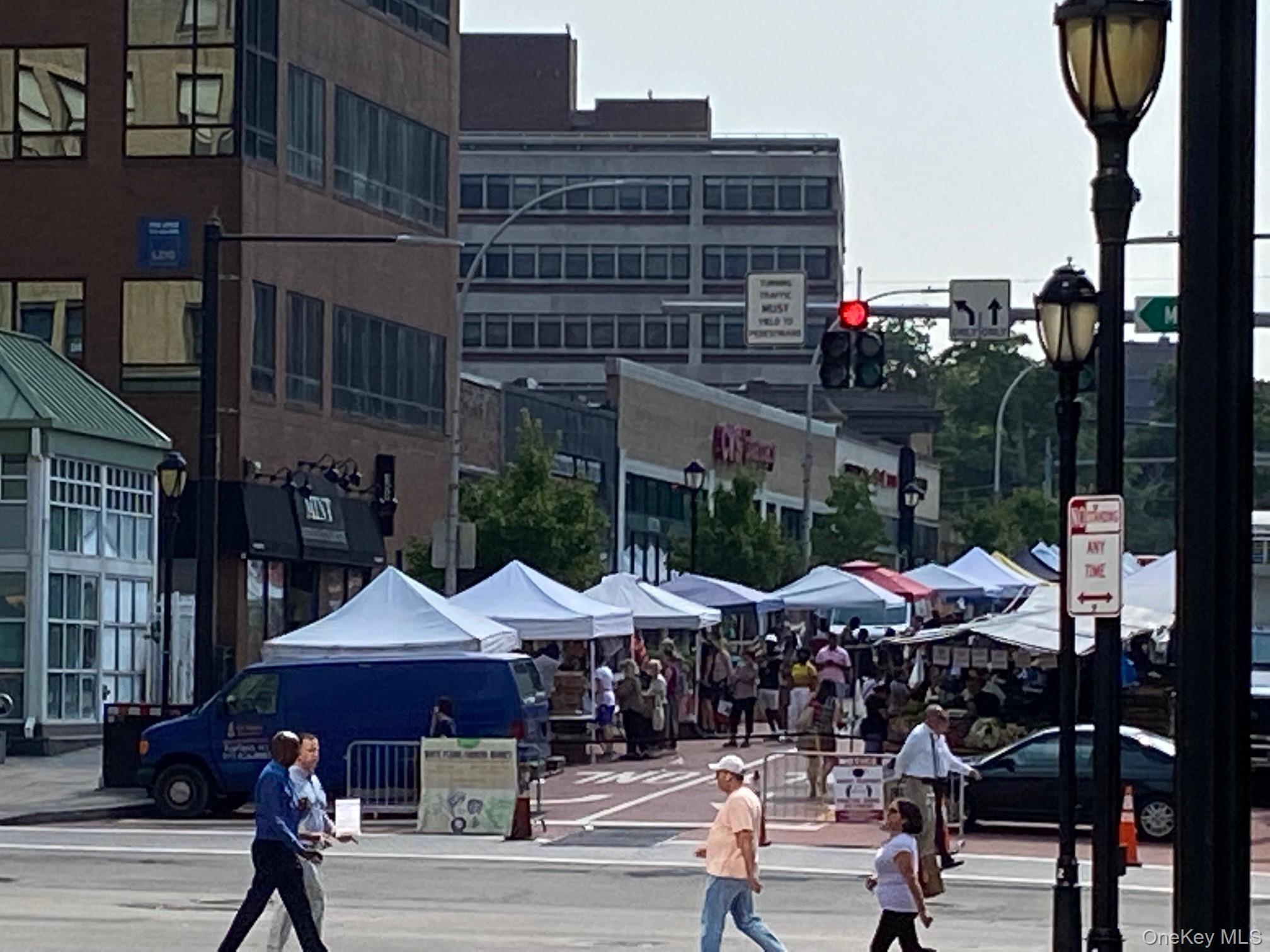 Condo Broadway  Westchester County, NY 10601, MLS-974188-19