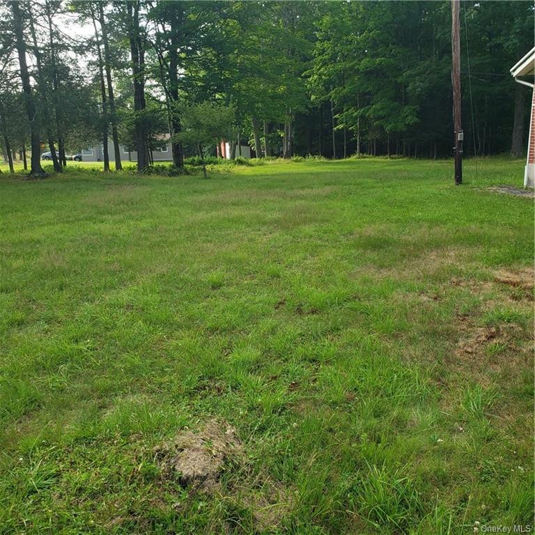 Single Family Old Turnpike  Sullivan County, NY 12789, MLS-974212-14