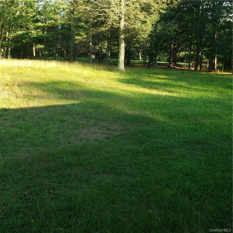 Single Family Old Turnpike  Sullivan County, NY 12789, MLS-974212-5