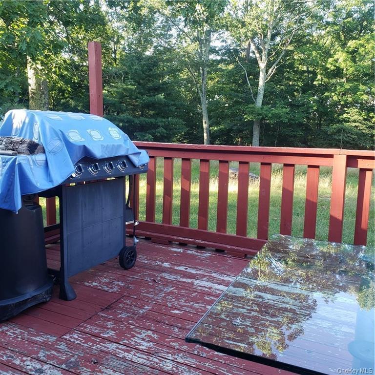 Single Family Old Turnpike  Sullivan County, NY 12789, MLS-974212-7