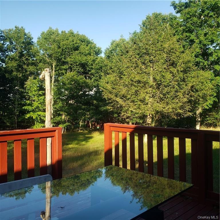 Single Family Old Turnpike  Sullivan County, NY 12789, MLS-974212-8