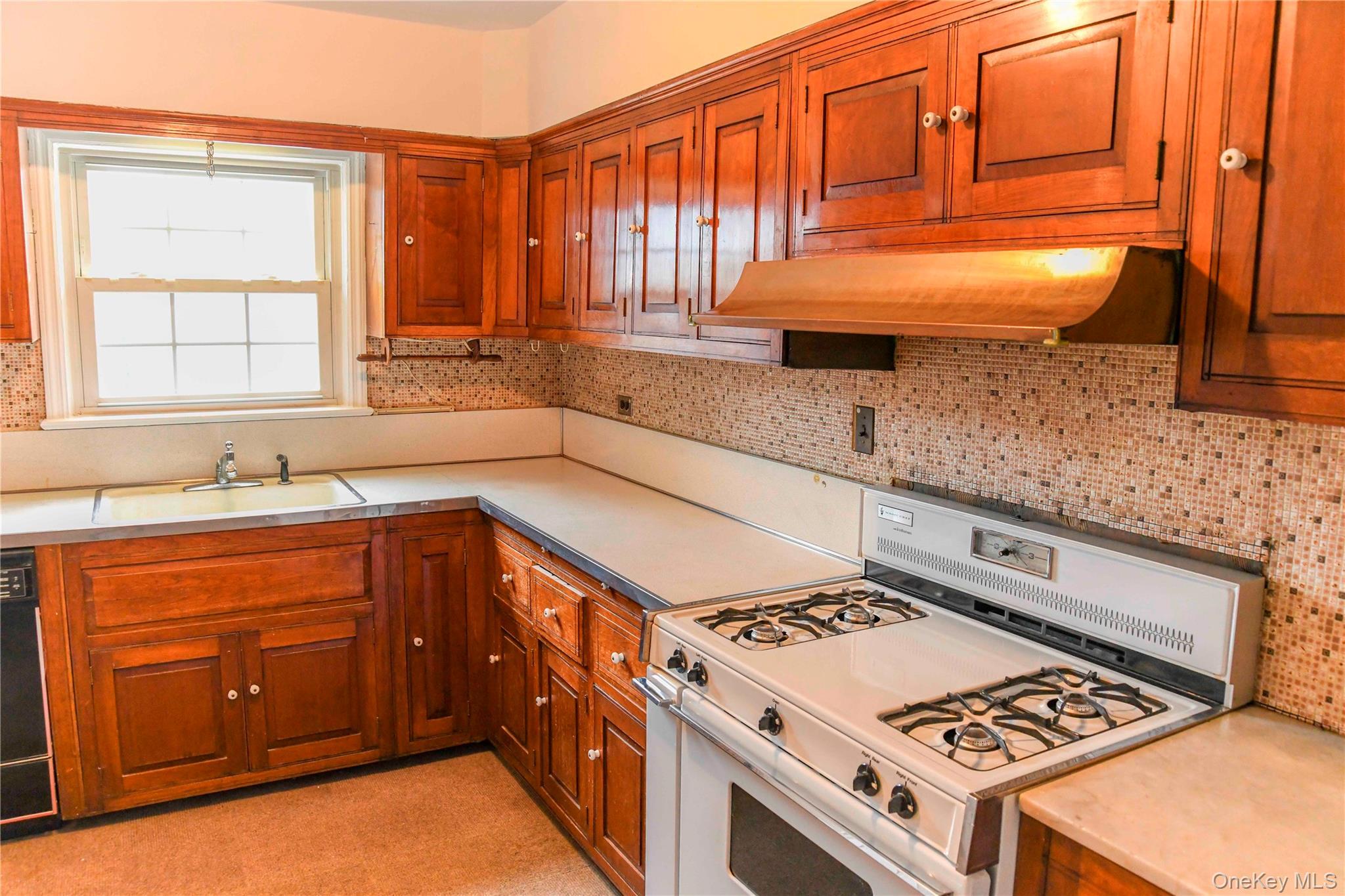 Single Family Chestnut  Nassau County, NY 11563, MLS-974215-12