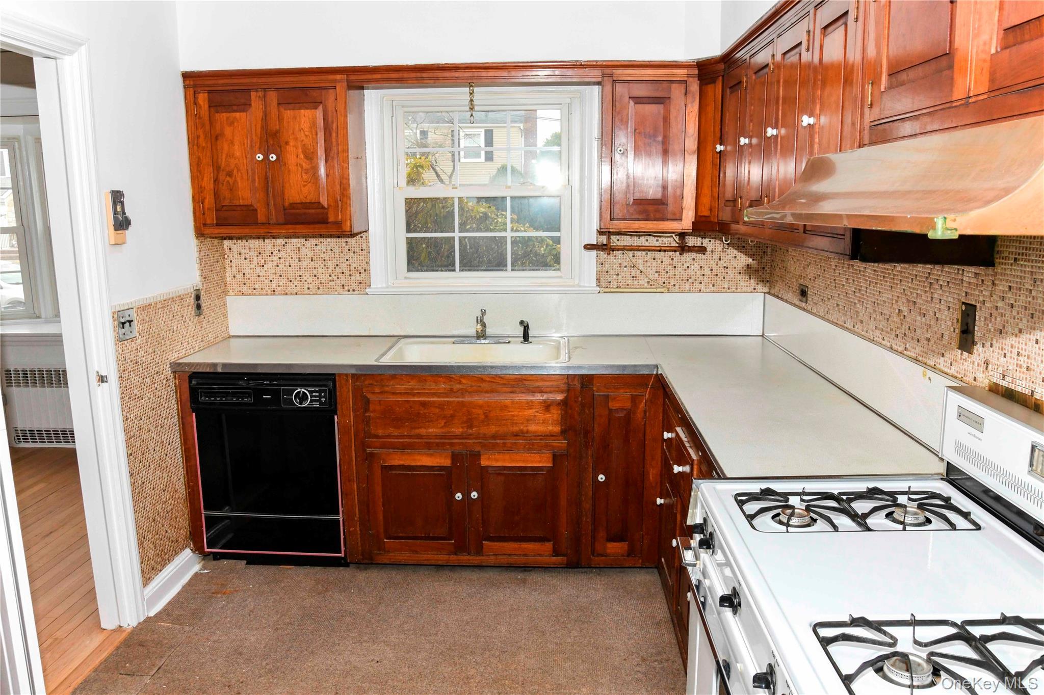 Single Family Chestnut  Nassau County, NY 11563, MLS-974215-13
