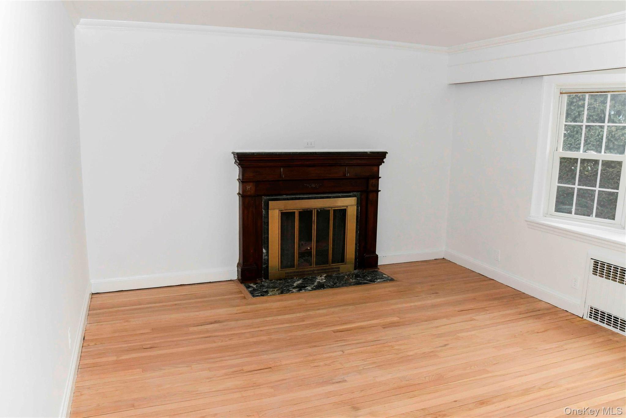 Single Family Chestnut  Nassau County, NY 11563, MLS-974215-6