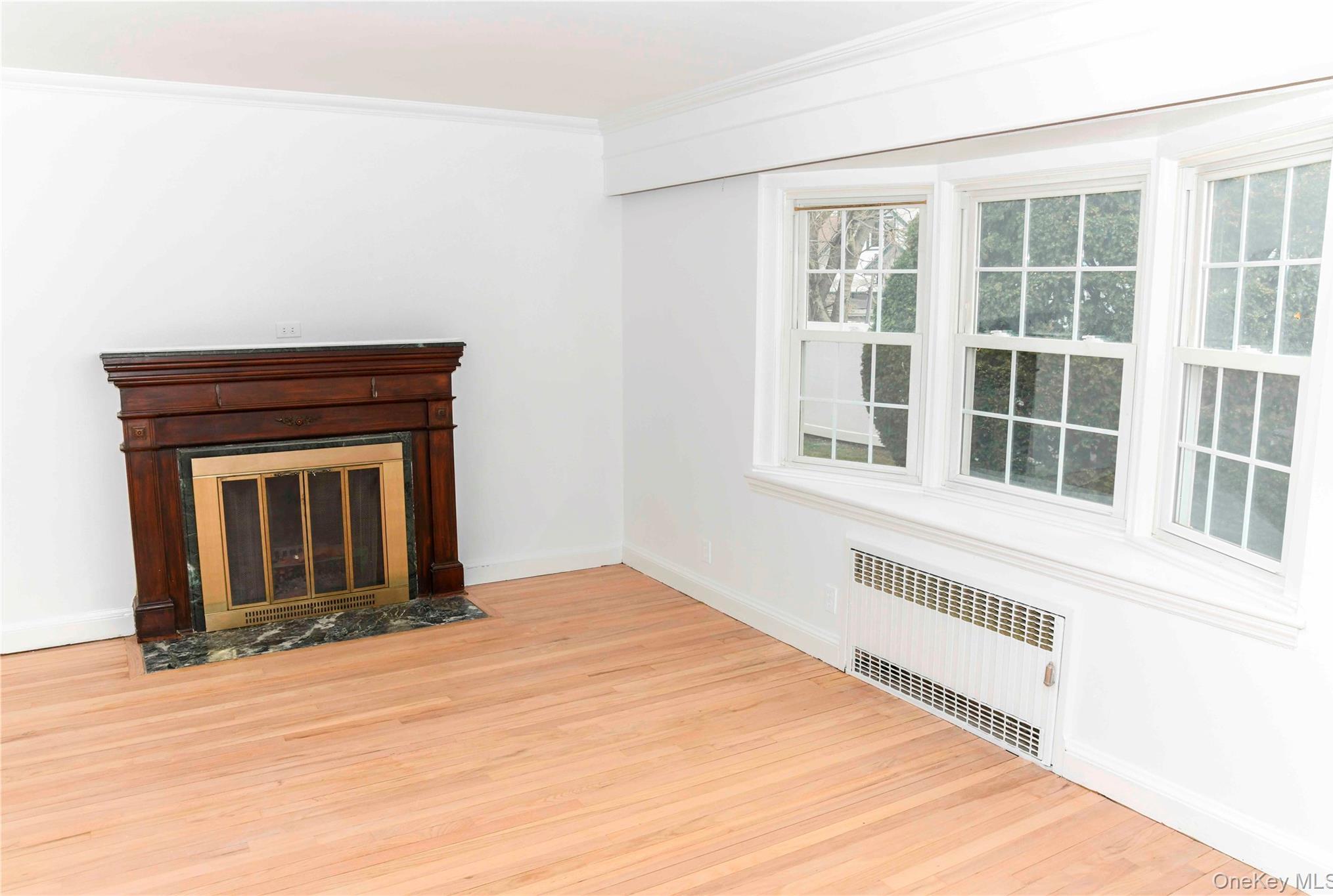 Single Family Chestnut  Nassau County, NY 11563, MLS-974215-8