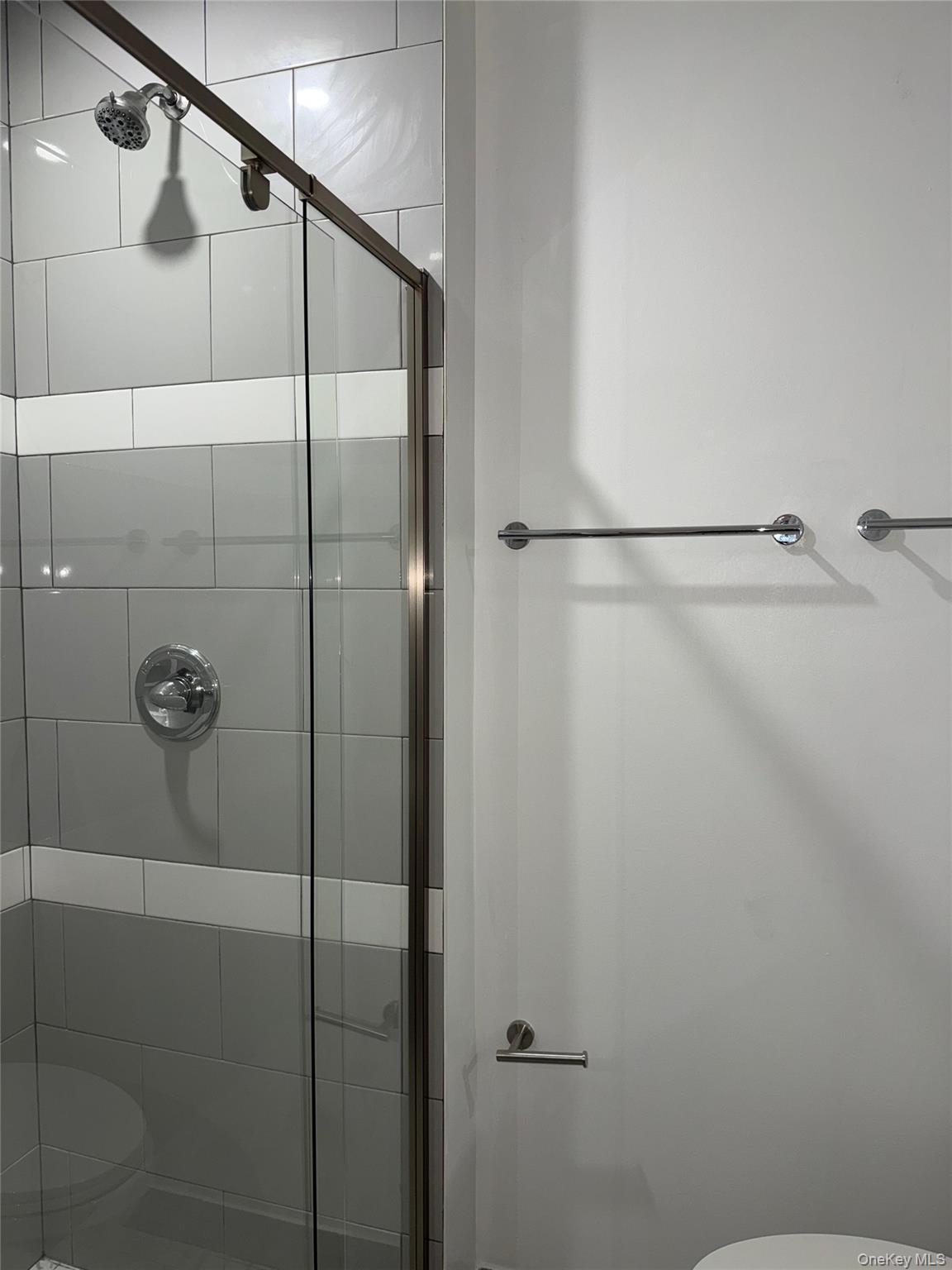 Apartment Snyder  Brooklyn, NY 11226, MLS-974310-6