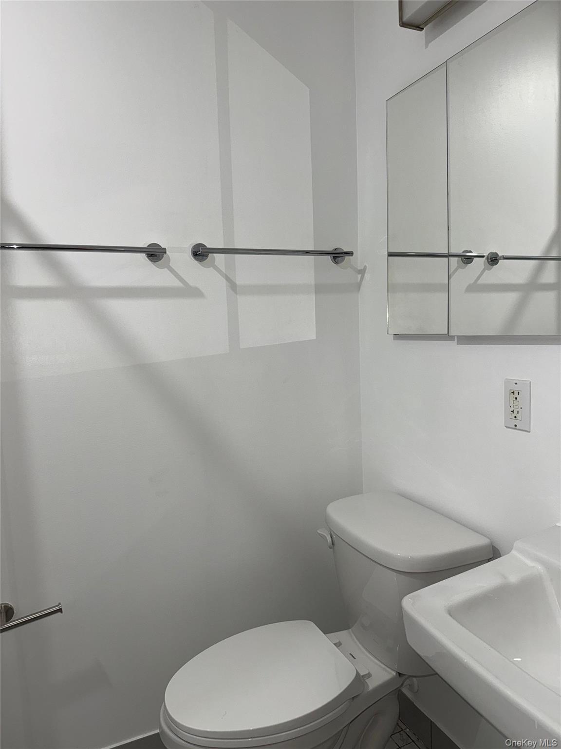 Apartment Snyder  Brooklyn, NY 11226, MLS-974310-7