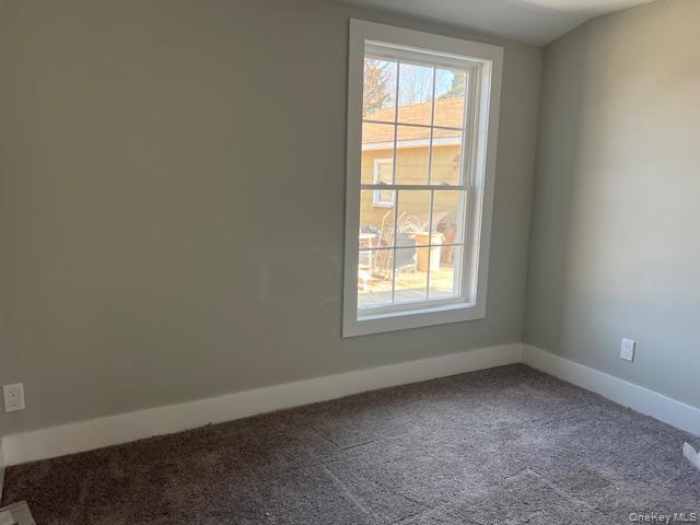 Single Family Alexander  Suffolk County, NY 11741, MLS-974365-10