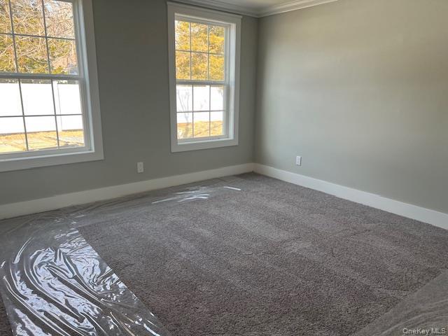 Single Family Alexander  Suffolk County, NY 11741, MLS-974365-11