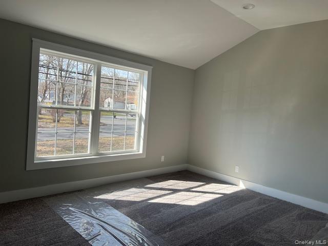 Single Family Alexander  Suffolk County, NY 11741, MLS-974365-12