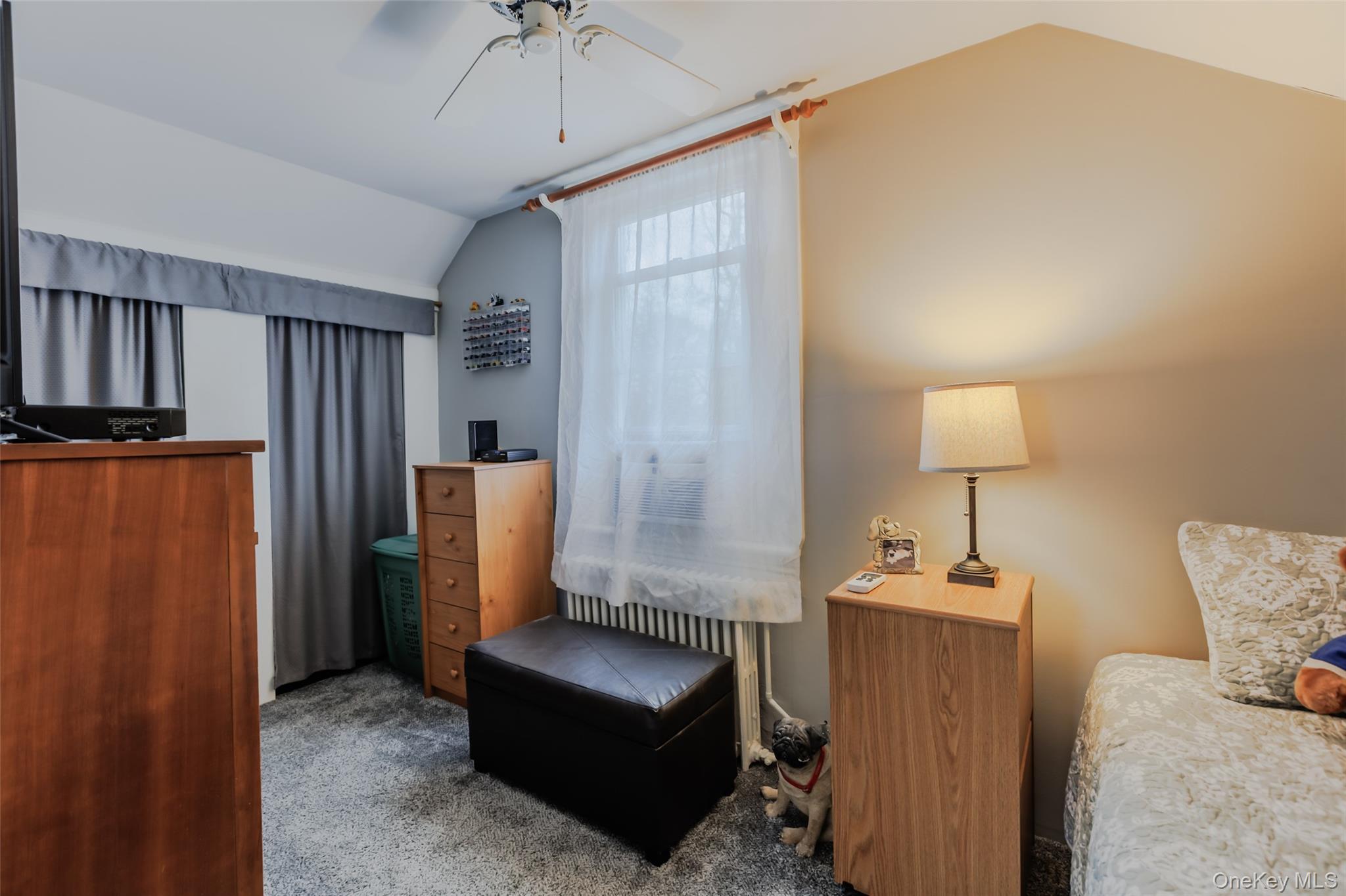 Single Family Wall  Suffolk County, NY 11730, MLS-974397-13