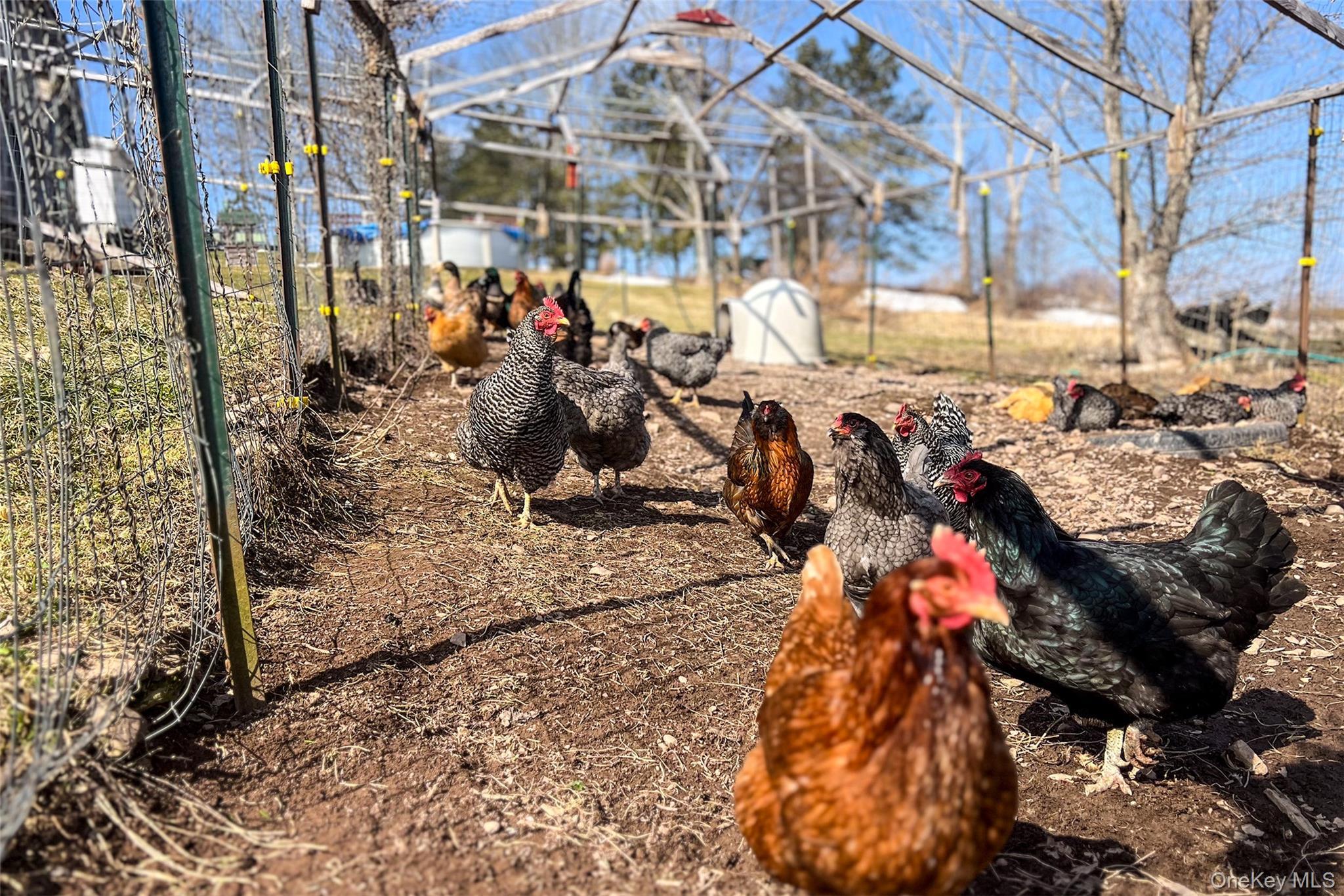 Single Family County Highway 3a  Out Of Area, NY 13849, MLS-974408-46