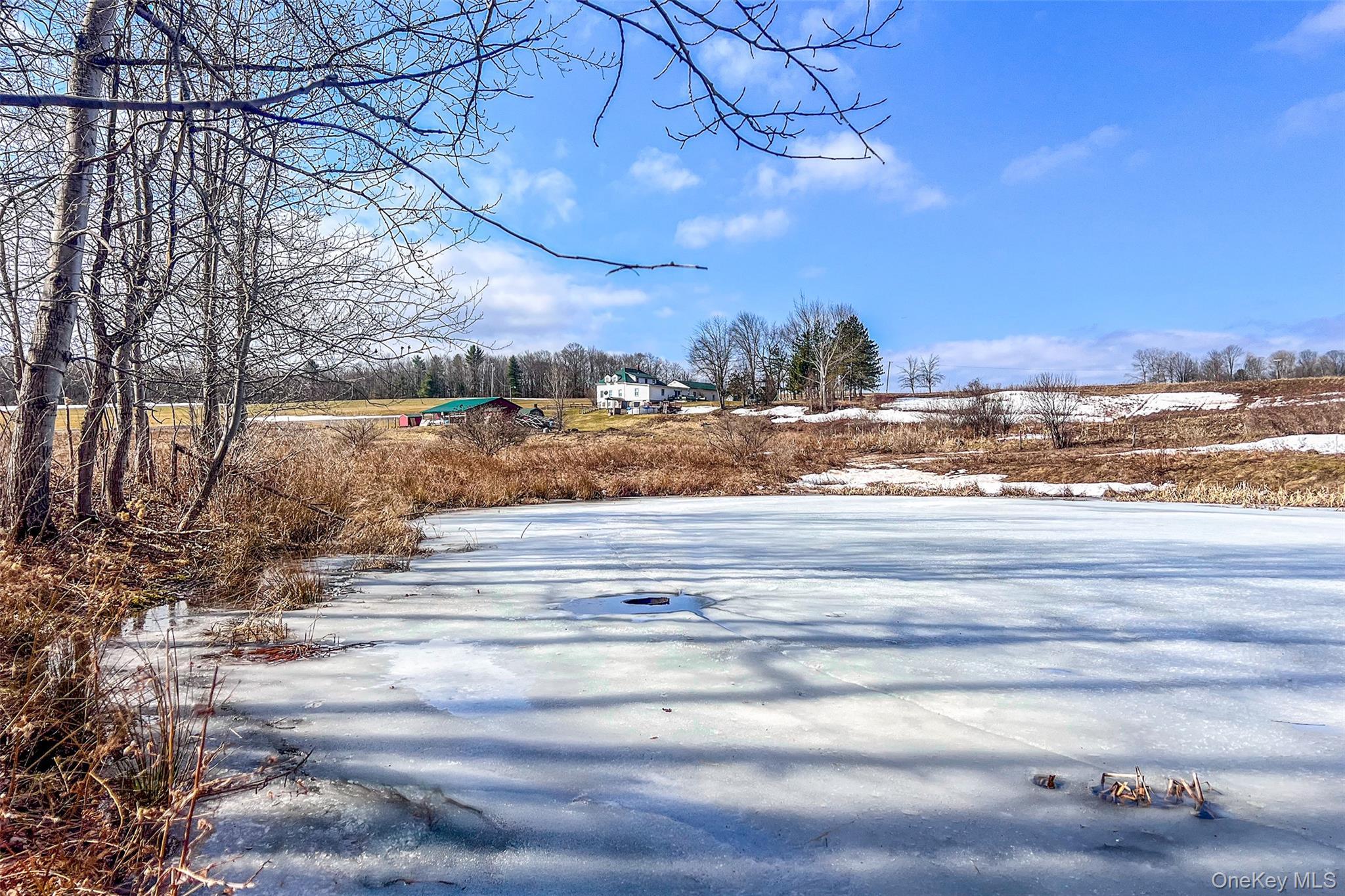 Single Family County Highway 3a  Out Of Area, NY 13849, MLS-974408-48