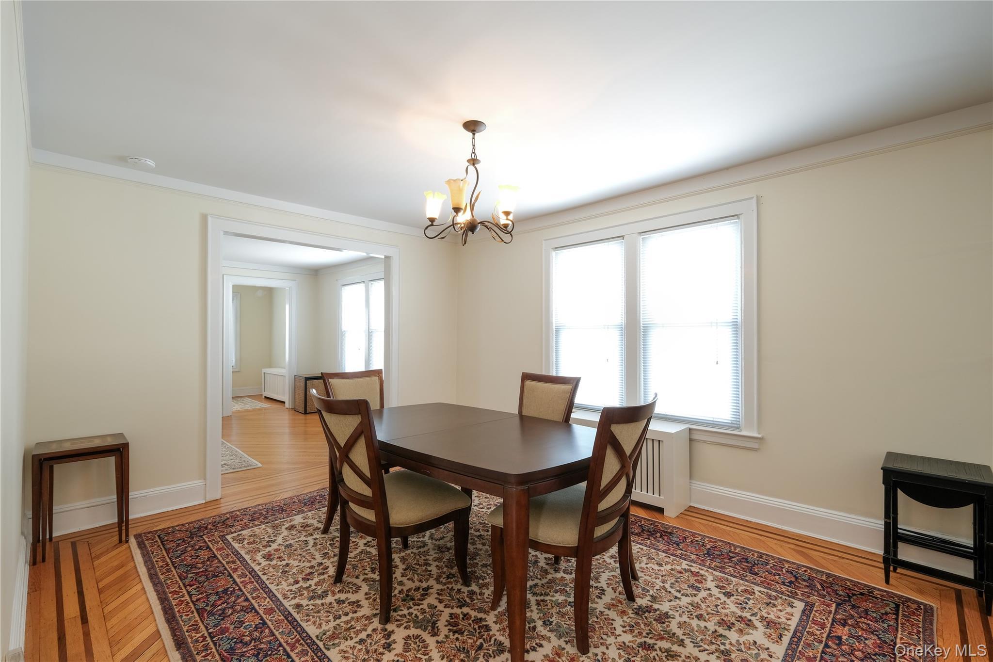 Single Family Dubois  Nassau County, NY 11581, MLS-974410-10