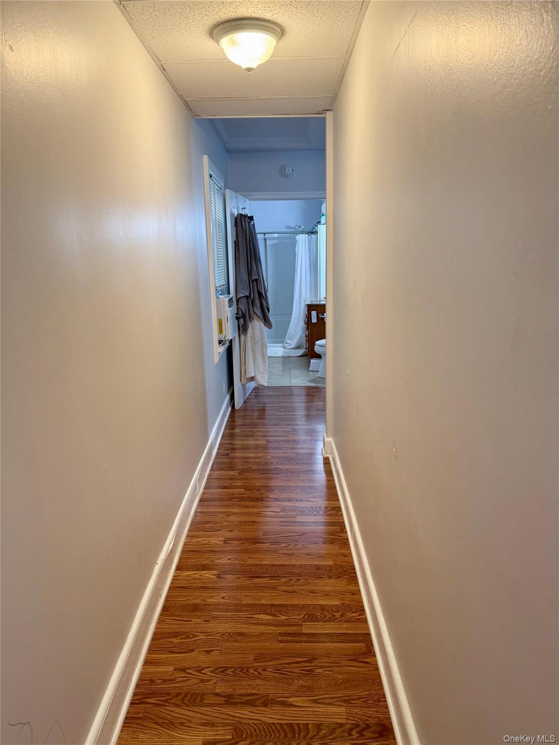 Single Family Meacham Avenue Nassau County, NY 11003, MLS-974437-10