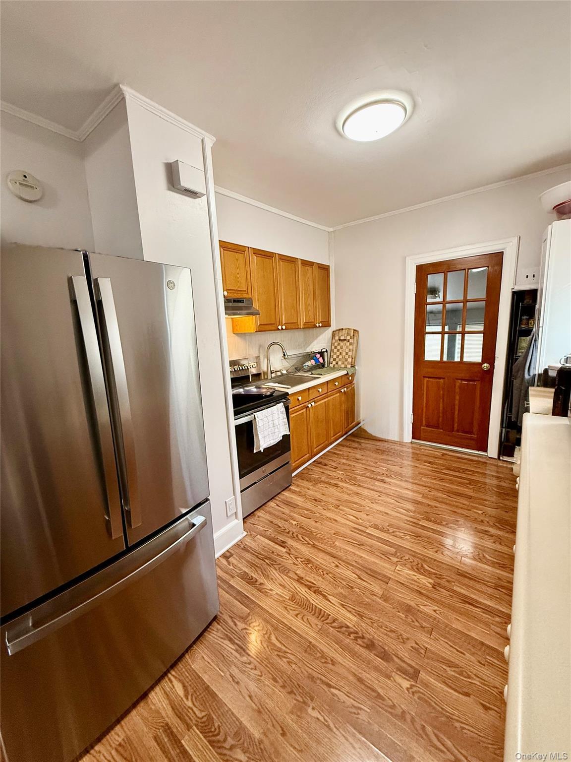 Single Family Meacham Avenue Nassau County, NY 11003, MLS-974437-2