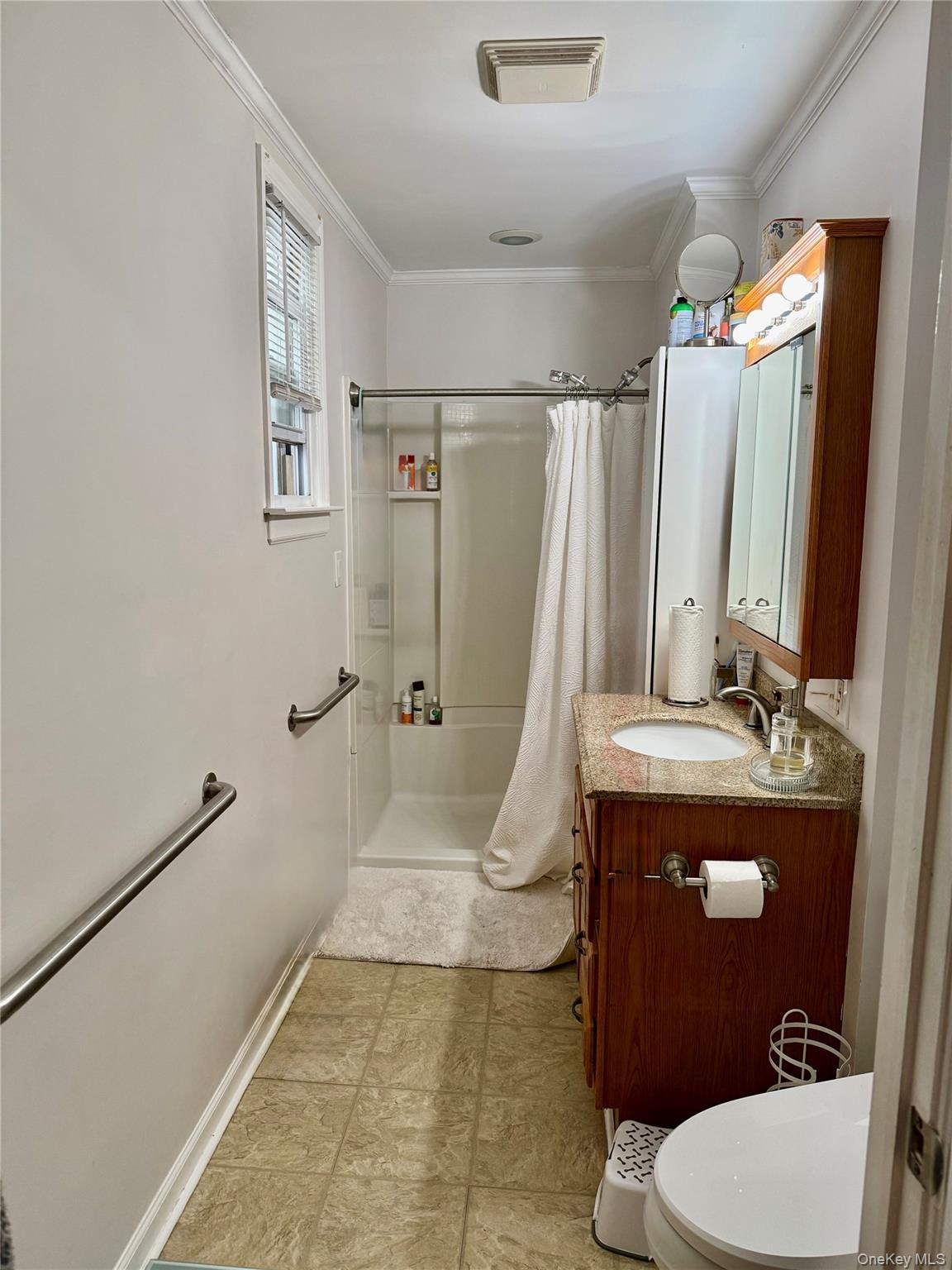 Single Family Meacham Avenue Nassau County, NY 11003, MLS-974437-8