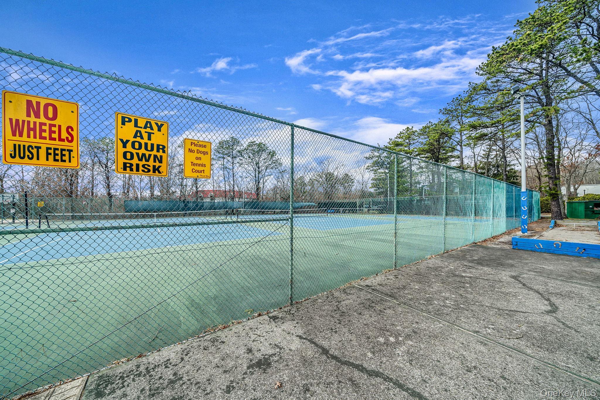 Condo Golf Suffolk County, NY 11763, MLS-974444-30