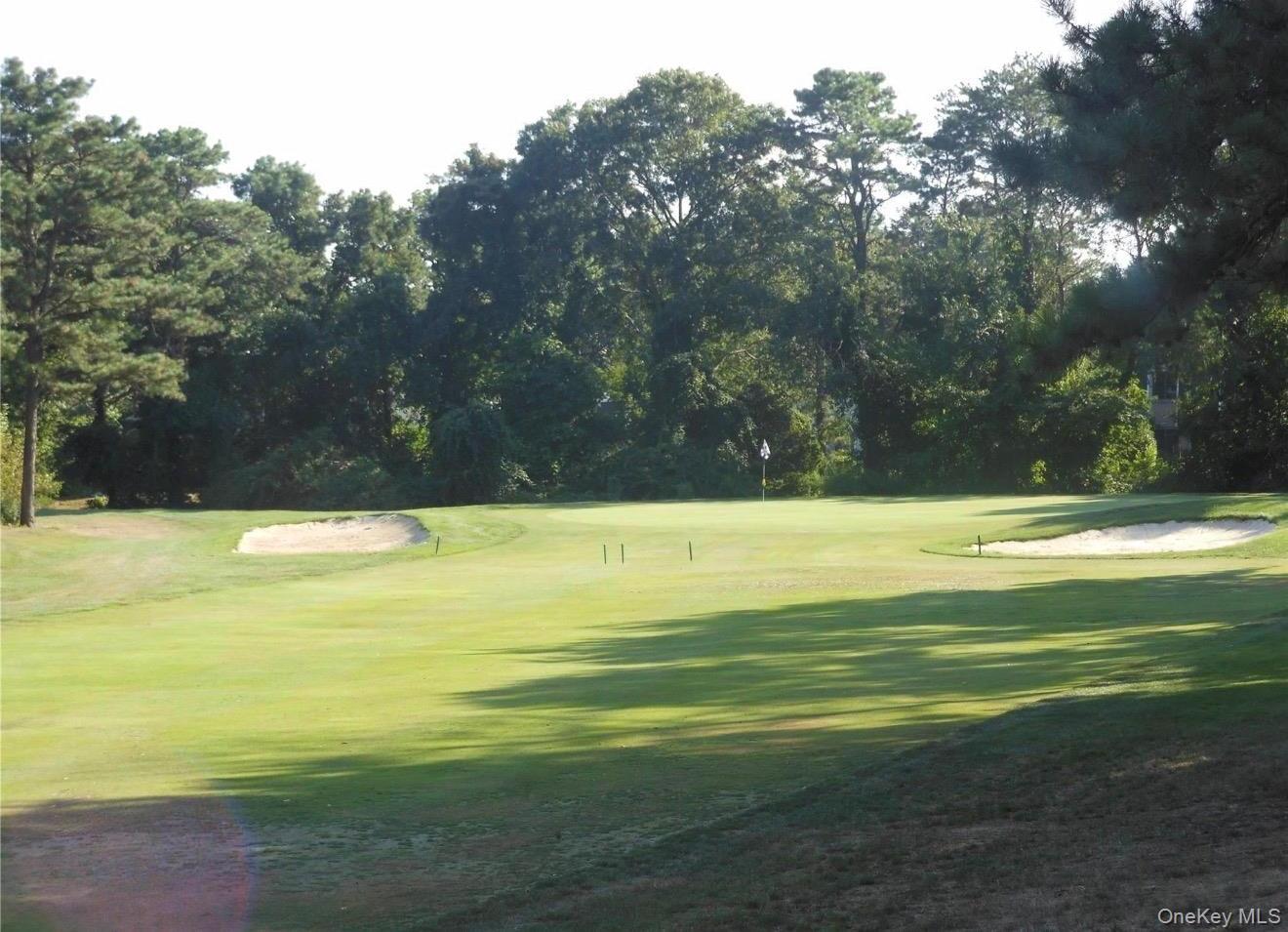Condo Golf  Suffolk County, NY 11763, MLS-974444-39