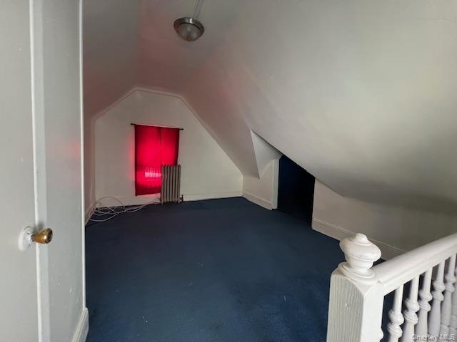 Single Family 108th  Queens, NY 11418, MLS-974489-19