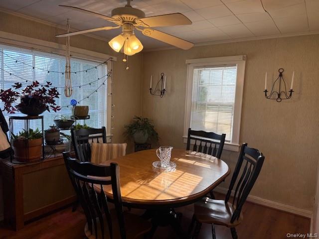 Single Family Cedar Road E Suffolk County, NY 11951, MLS-974553-10