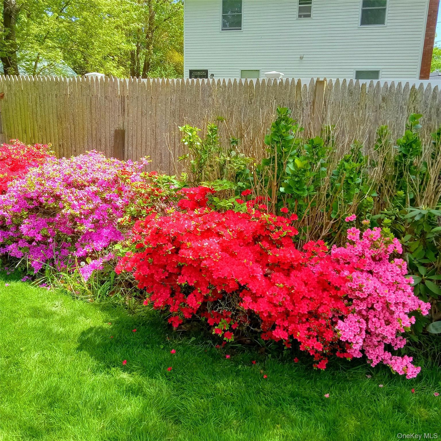 Single Family Cedar Road E  Suffolk County, NY 11951, MLS-974553-14