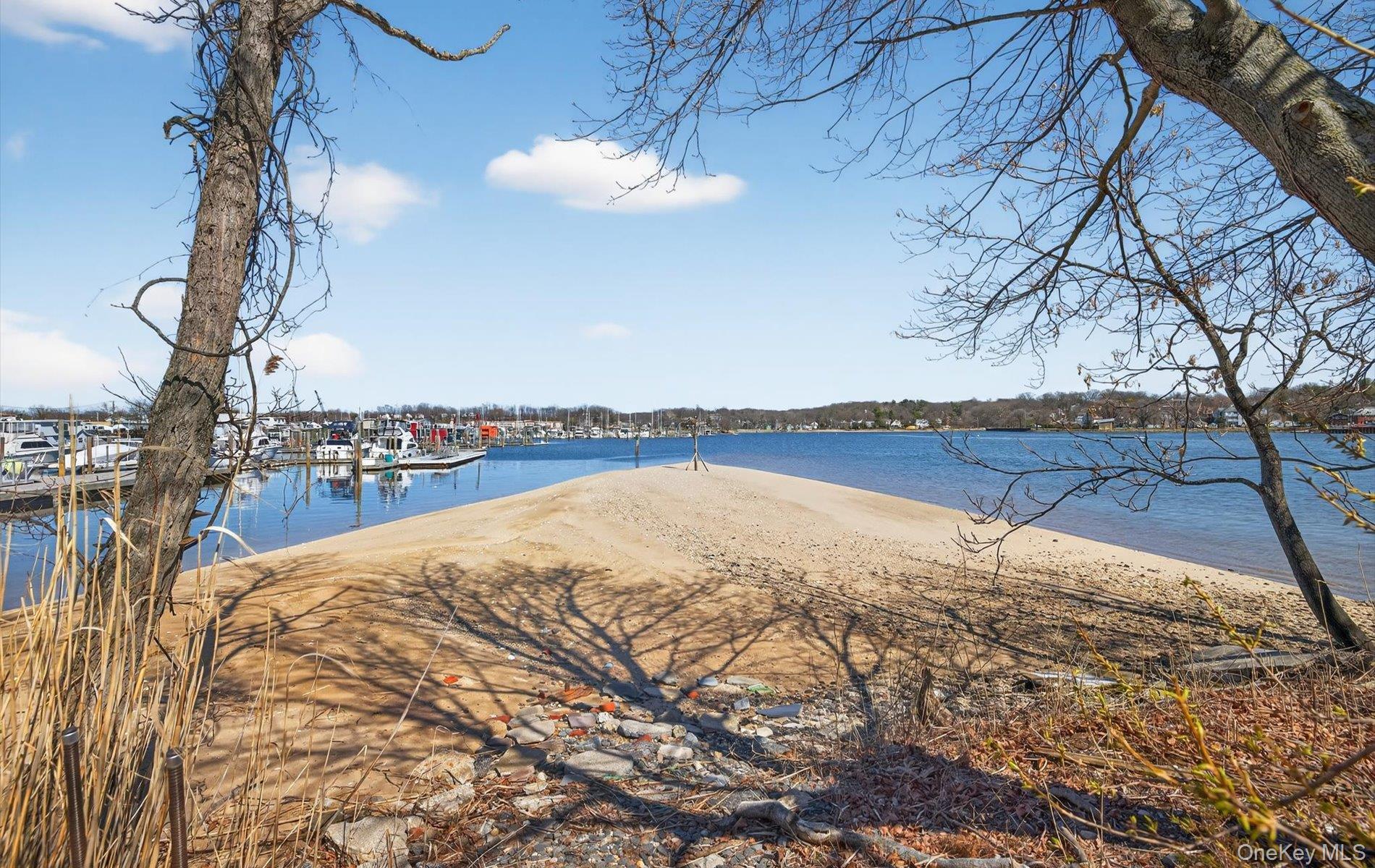 Coop Toms Point Nassau County, NY 11050, MLS-974623-25